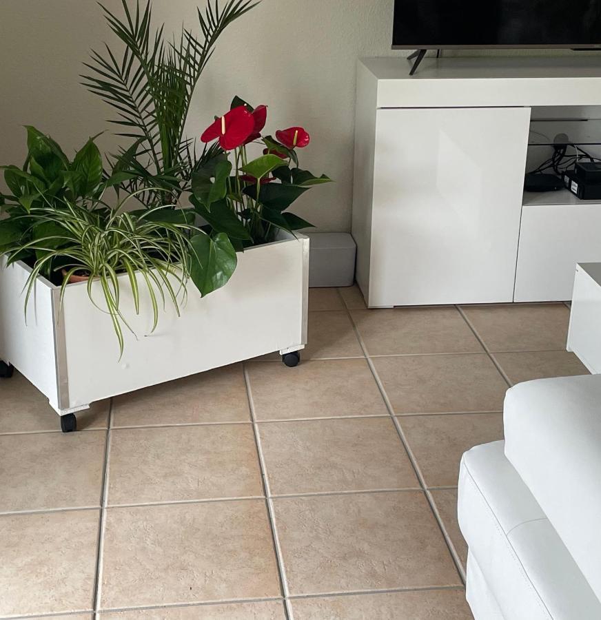 Apartamento Le Lotois Les Ondines Souillac Exterior foto